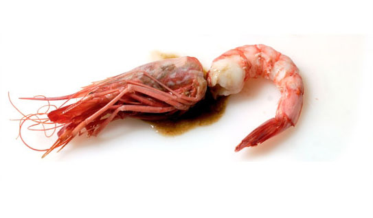 Gamba roja cocida