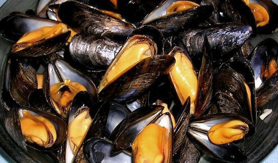 Mejillones de roca (moules) al estilo belga