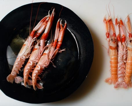 Preparación de cigalitas a la plancha