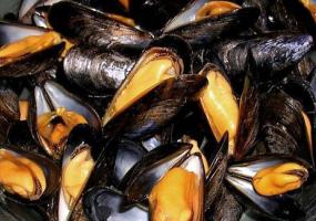 Mejillones de roca (moules) al estilo belga