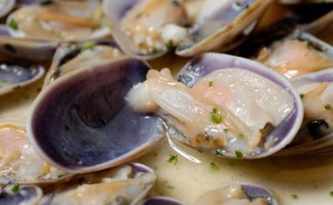 Coquina Mariscos Características E Información<script async src=