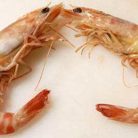 Langostino cocido