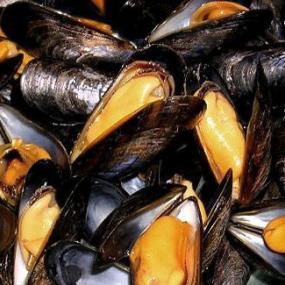 Mejillones de roca (moules) al estilo belga