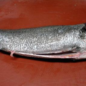 Corvina Limpia entera