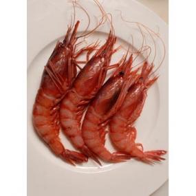 gamba roja a la plancha