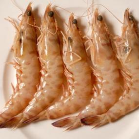 langostino a la plancha