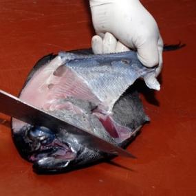 Palometa en filetes