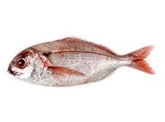 Pescados