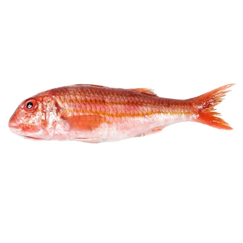 Salmonete