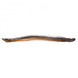  Anguila ahumada  Pescaderías Coruñesas
