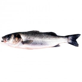 Lubina de estero (hasta 2 kg)