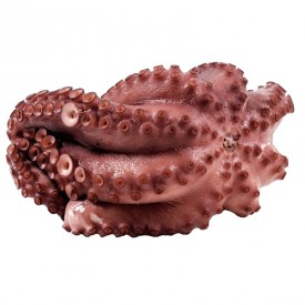 Pulpo cocido